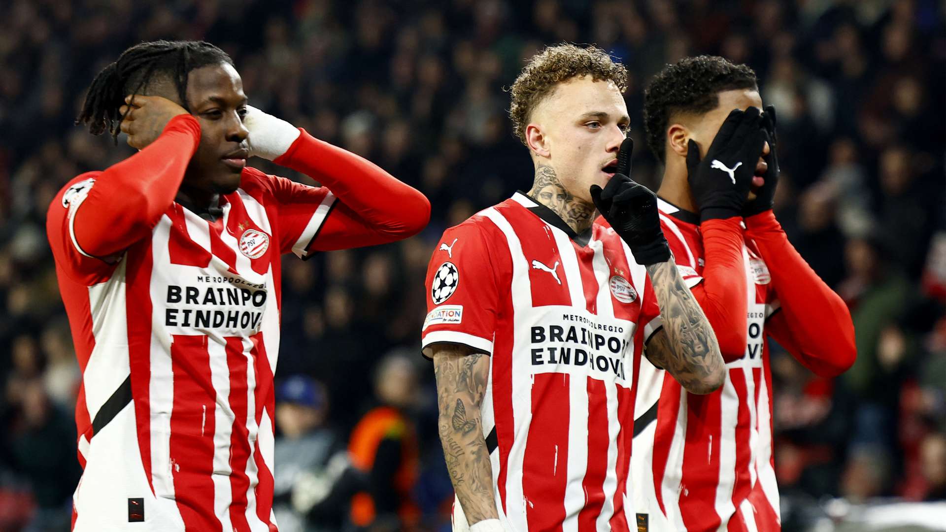 球迷的积极 球迷的积极