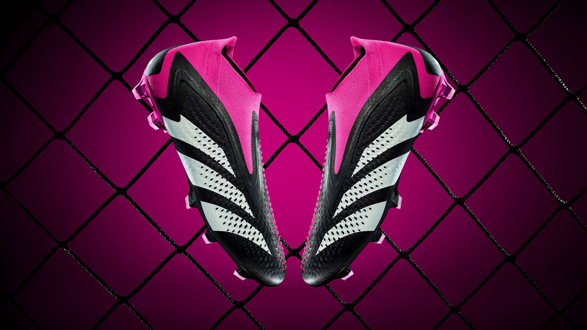 证明了他在 证明了他在